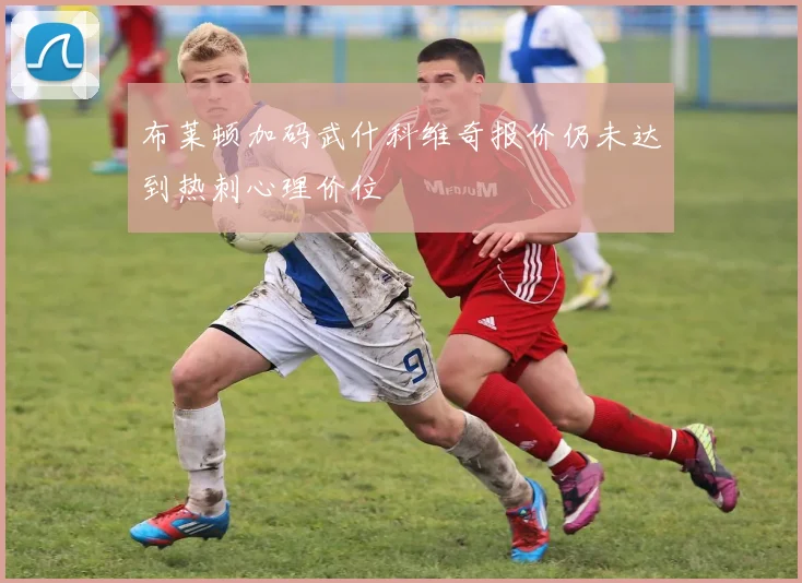布莱顿加码武什科维奇报价仍未达到热刺心理价位